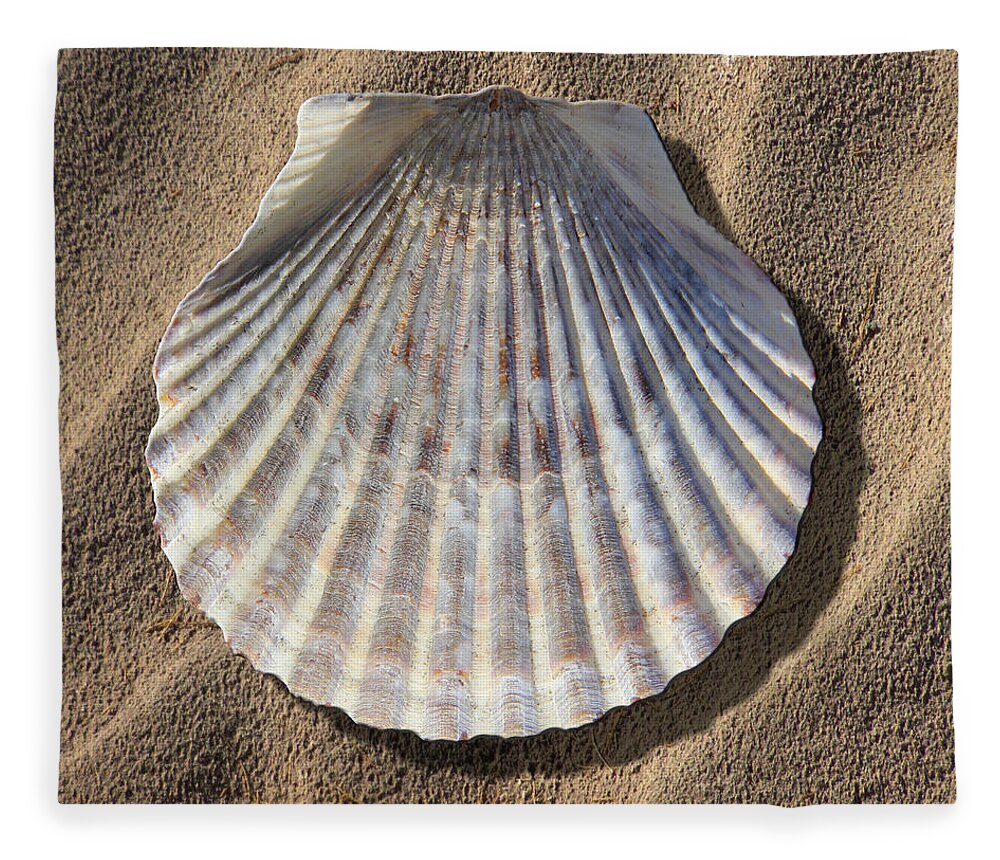 Sea Shell Fleece Blanket featuring the photograph Sea Shell 2 by Mike McGlothlen