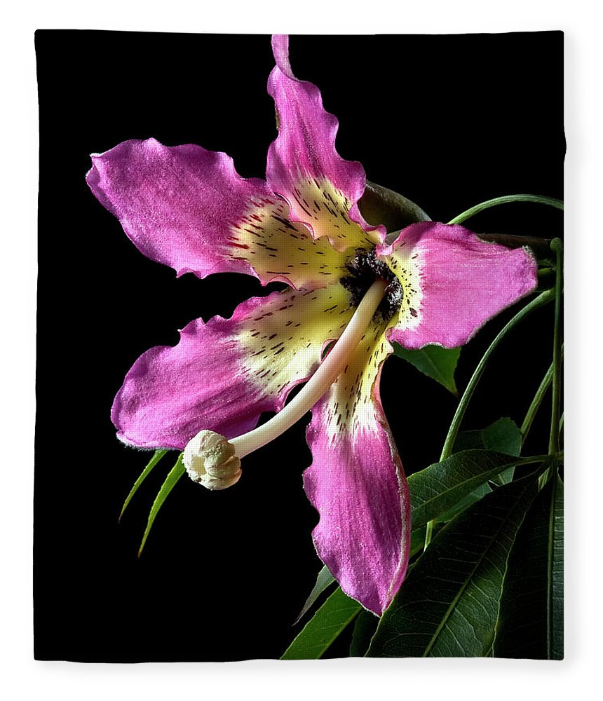Flower Fleece Blanket featuring the photograph Silk Flower by Endre Balogh