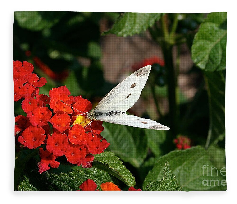 Outdoors Fleece Blanket featuring the photograph Silver Moth by Susan Herber