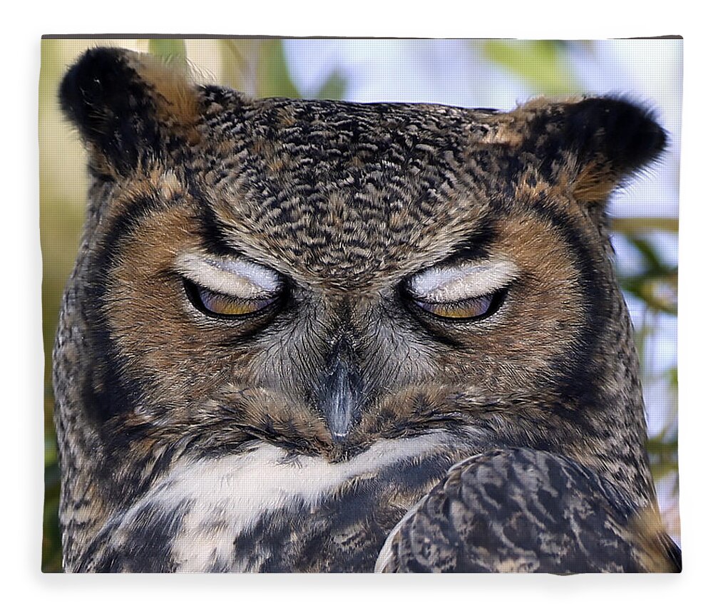 Landscape Fleece Blanket featuring the photograph Sleepy owl by John T Humphrey
