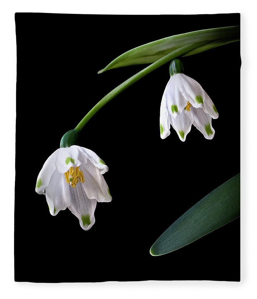 Flower Fleece Blanket featuring the photograph Snow Drops by Endre Balogh