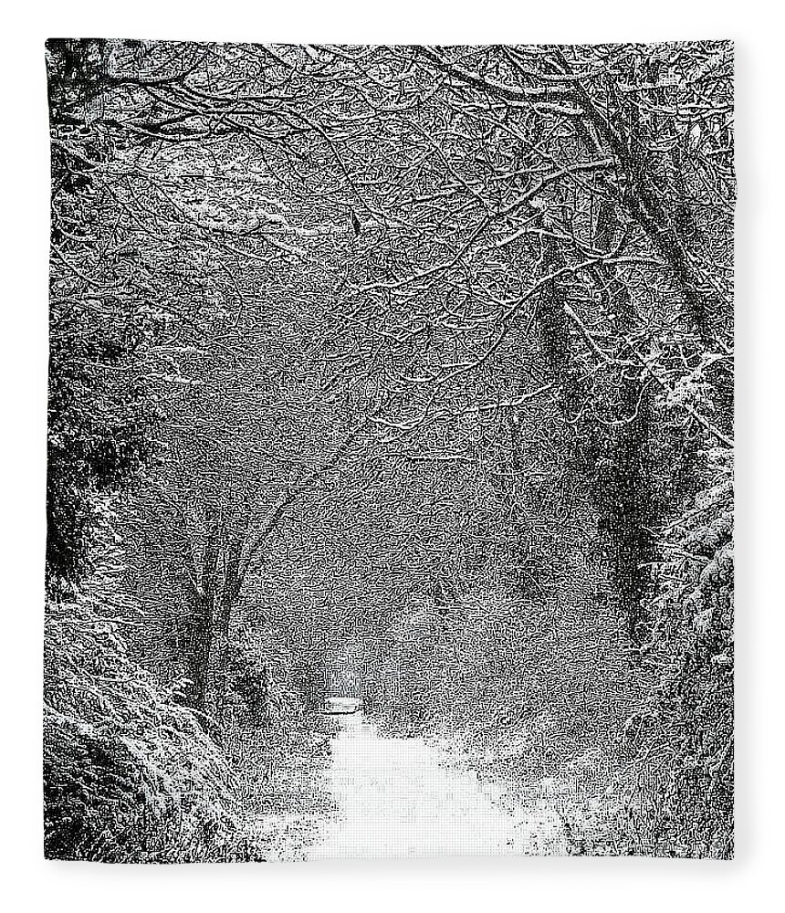 Snow Fleece Blanket featuring the photograph Snowy path by Linsey Williams