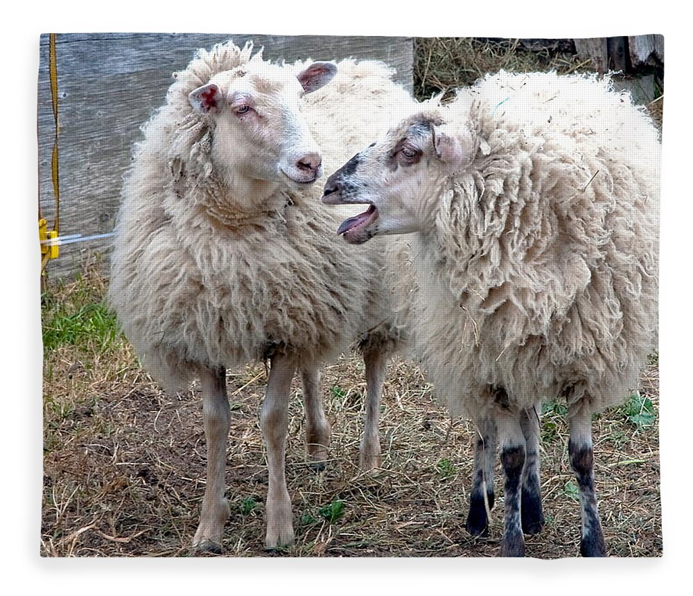 Sheep Fleece Blanket featuring the photograph So I Said by Burney Lieberman
