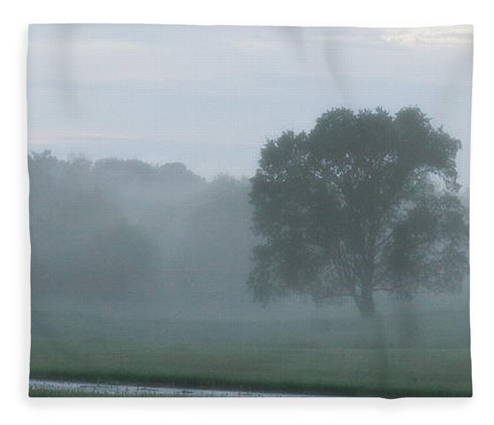 Tree Fleece Blanket featuring the photograph Solitary Tree Stands Firm in a Foggy Field After an Early Evening Rain Shower - Landscape by Angela Rath