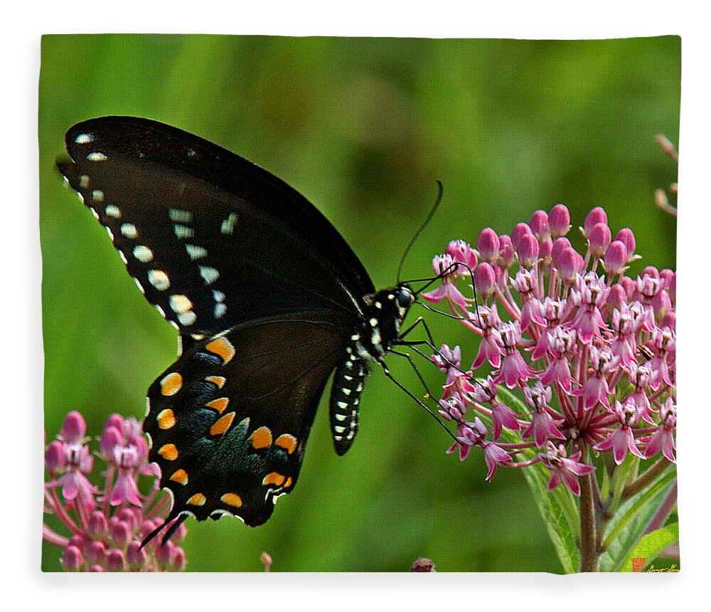 Nature Fleece Blanket featuring the photograph Spicebush Swallowtail DIN039 by Gerry Gantt