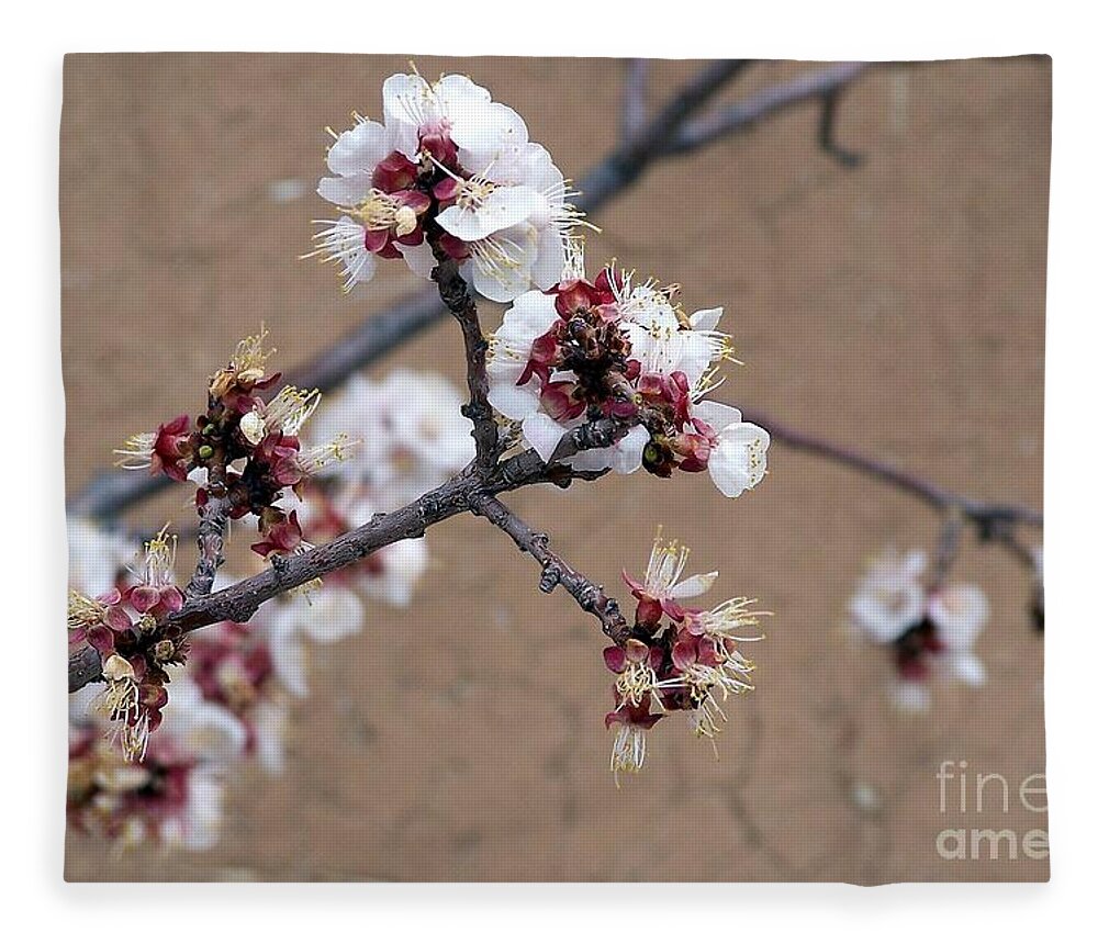 Trees Fleece Blanket featuring the photograph Spring Promises by Dorrene BrownButterfield