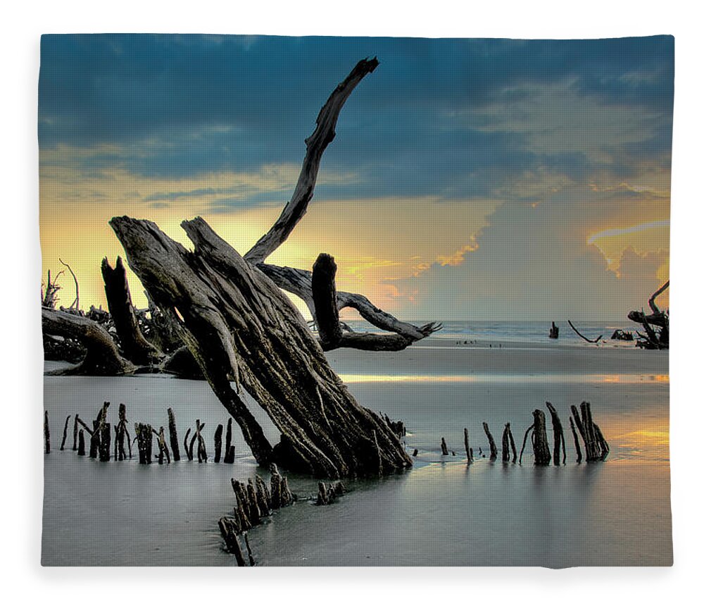 Driftwood Fleece Blanket featuring the photograph Sticks in the Sand by Francis Trudeau
