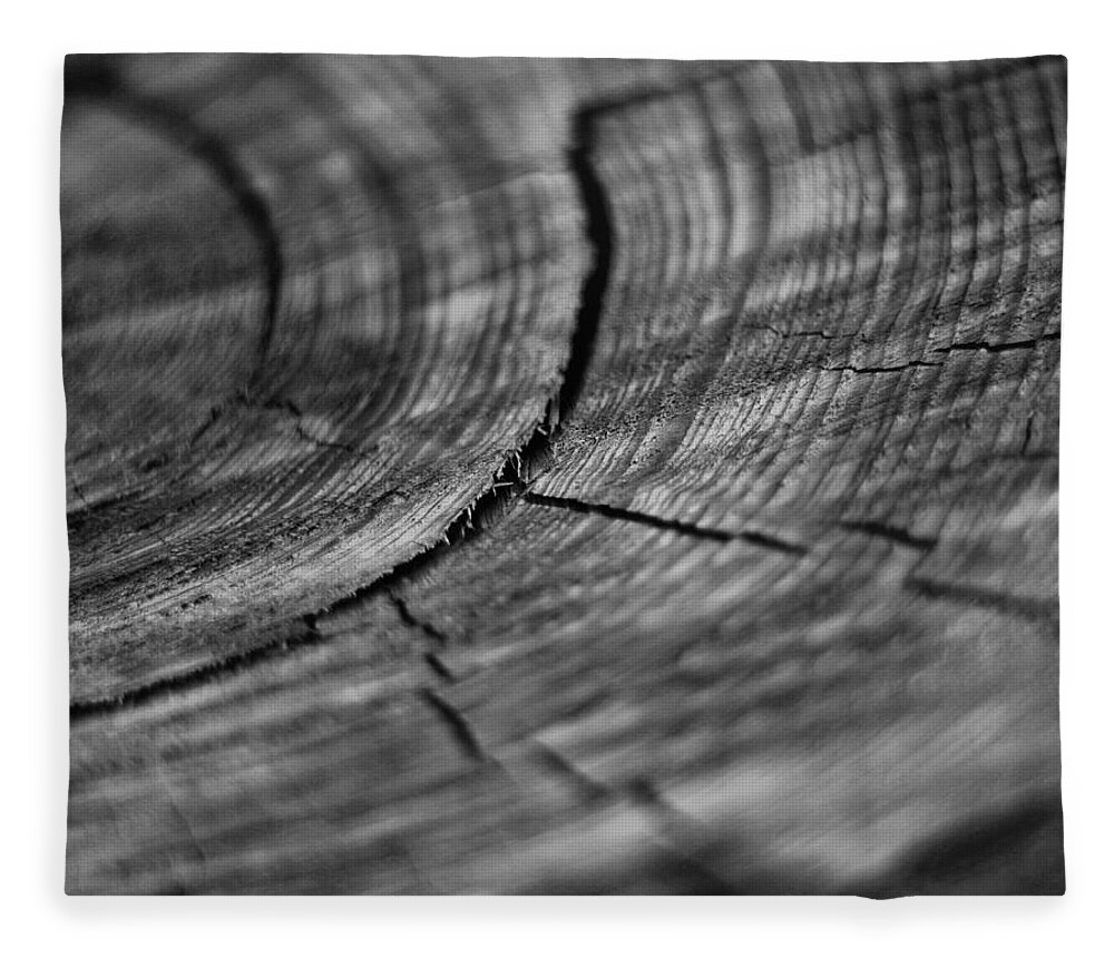 Wall Art Fleece Blanket featuring the photograph Stump by Marlo Horne