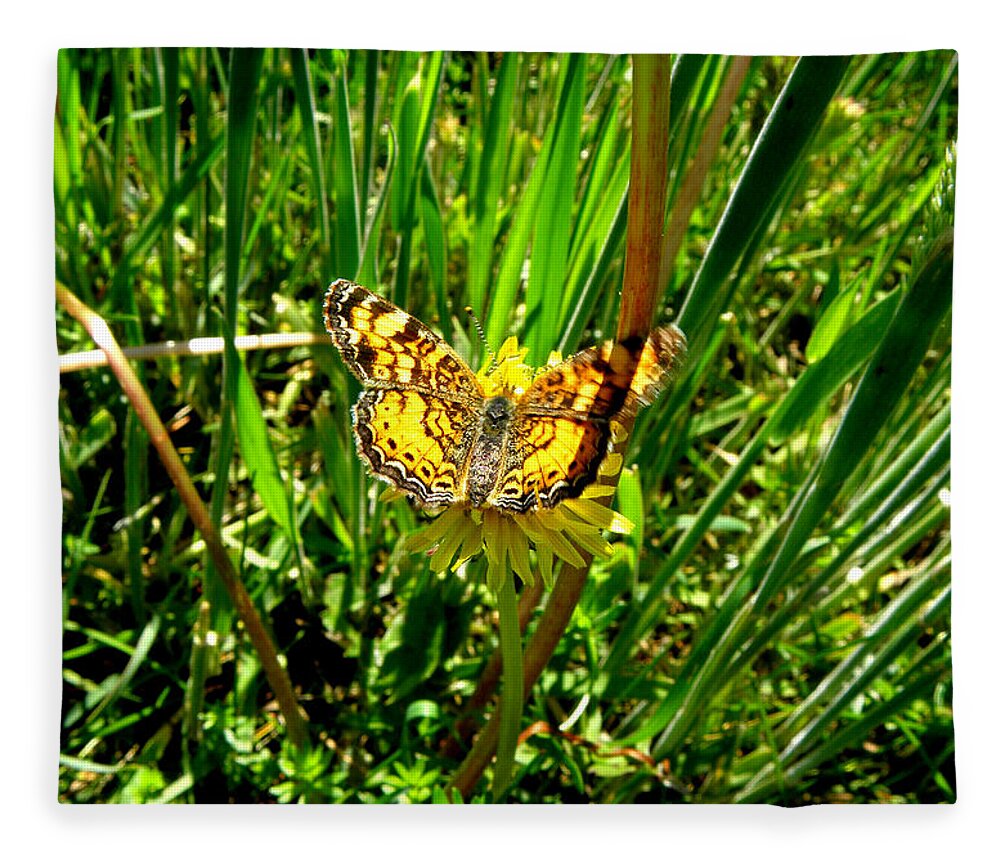 Butterfly Fleece Blanket featuring the photograph Sunning On A Dandelion by Kim Galluzzo