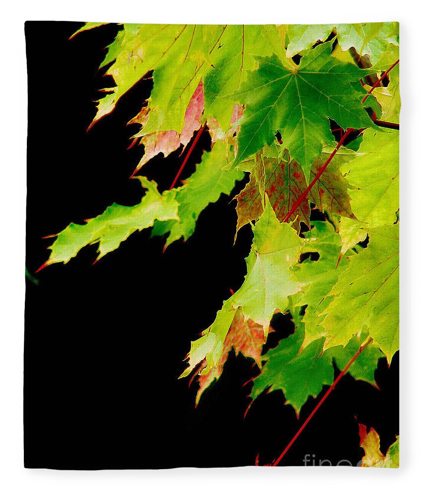 Maple Fleece Blanket featuring the photograph The Beginning Of Change by Rory Siegel