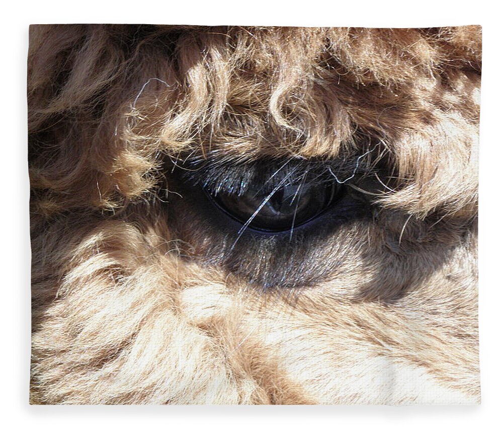Alpaca Fleece Blanket featuring the photograph The Eye of an Alpaca by Kim Galluzzo Wozniak