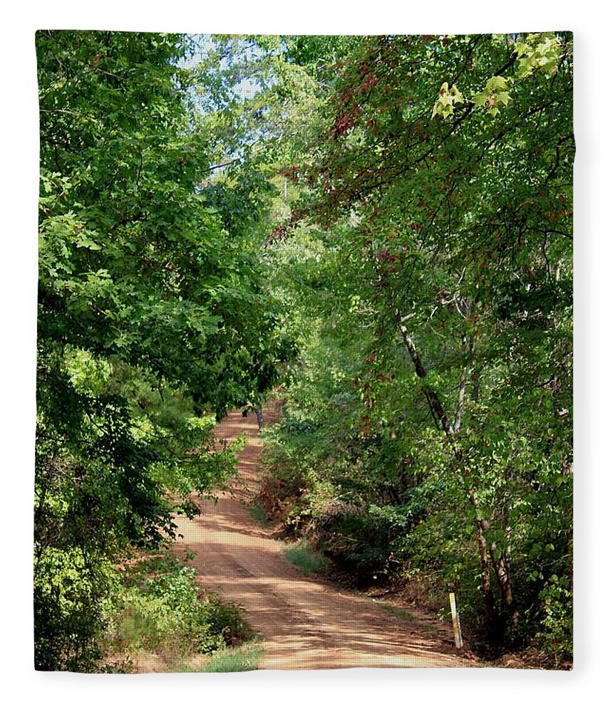 Landscape Fleece Blanket featuring the photograph The Low Road by Betty Northcutt