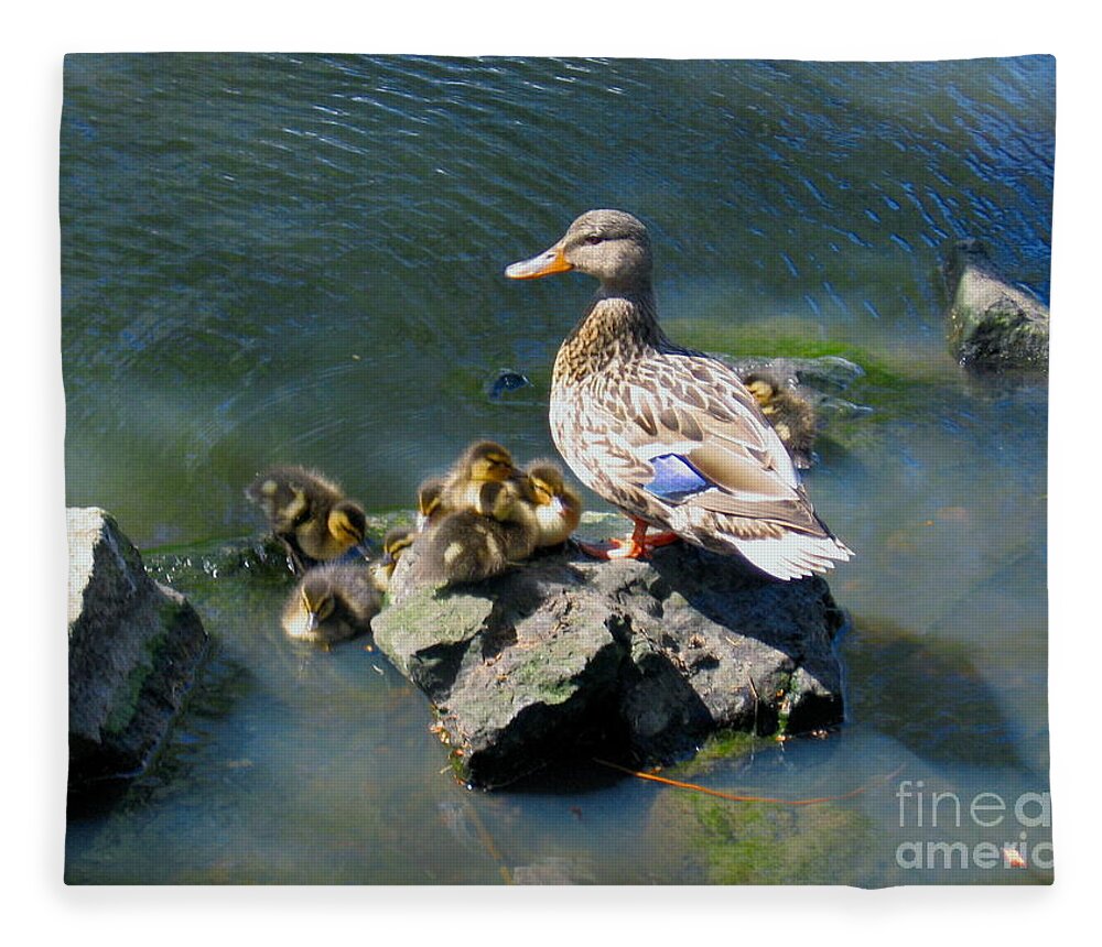 Ducks Fleece Blanket featuring the photograph The Swimming Lesson by Rory Siegel