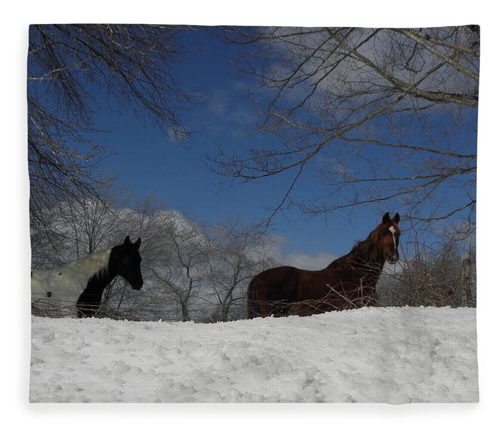Horse Fleece Blanket featuring the photograph They look just as puzzled as I was by all the white stuff by Kim Galluzzo