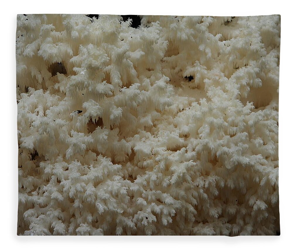 Hericium Coralloides Fleece Blanket featuring the photograph Tooth Fungus by Daniel Reed