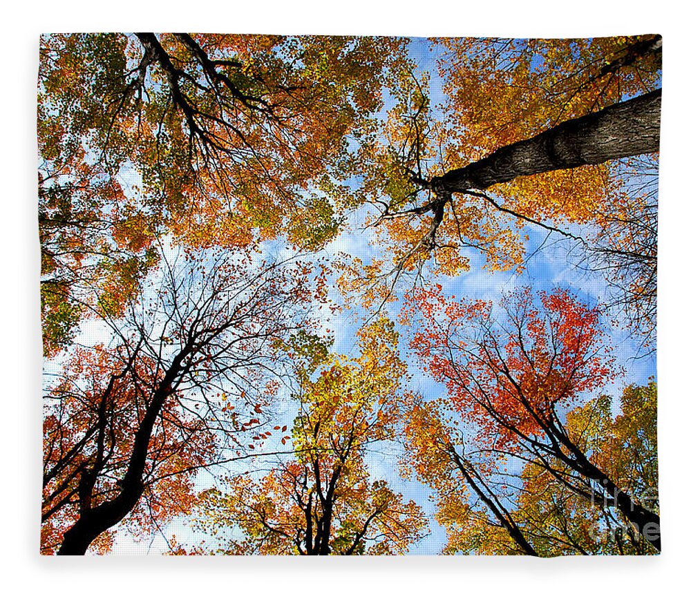 Treetops Fleece Blanket featuring the photograph Treetops by Elena Elisseeva