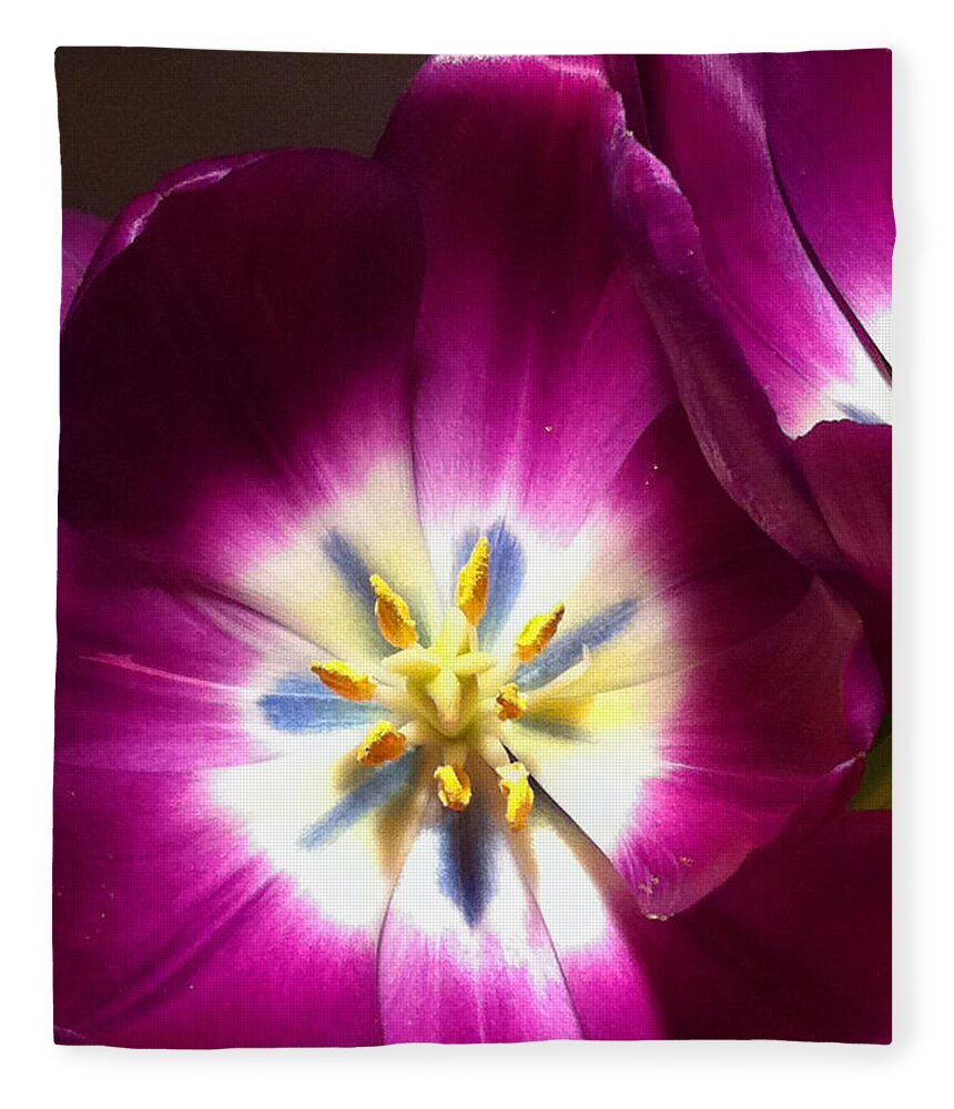 Tulips Fleece Blanket featuring the photograph Tulip Overture by Kathy Corday