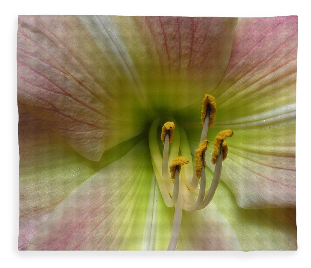 Lily Fleece Blanket featuring the photograph Up Close And Personal Beauty by Kim Galluzzo Wozniak