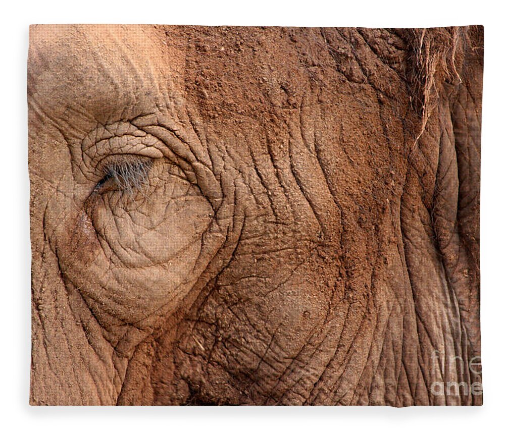 Animal Fleece Blanket featuring the photograph Up Close and Personal by Mary Mikawoz