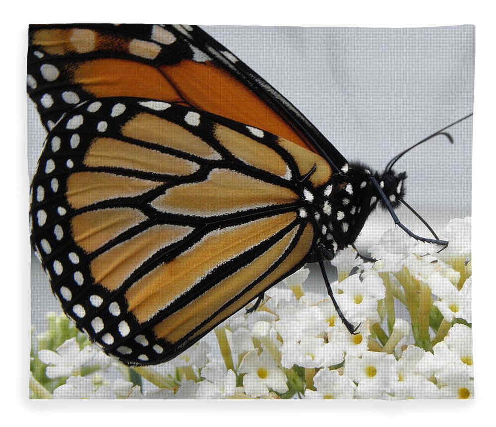 Monarch Fleece Blanket featuring the photograph Up Close And Personal by Kim Galluzzo Wozniak