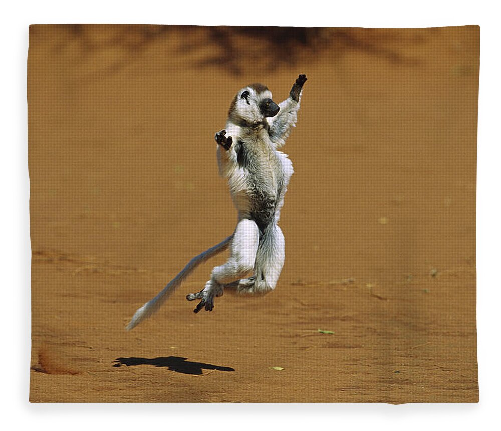 Mp Fleece Blanket featuring the photograph Verreauxs Sifaka Leaping by Cyril Ruoso
