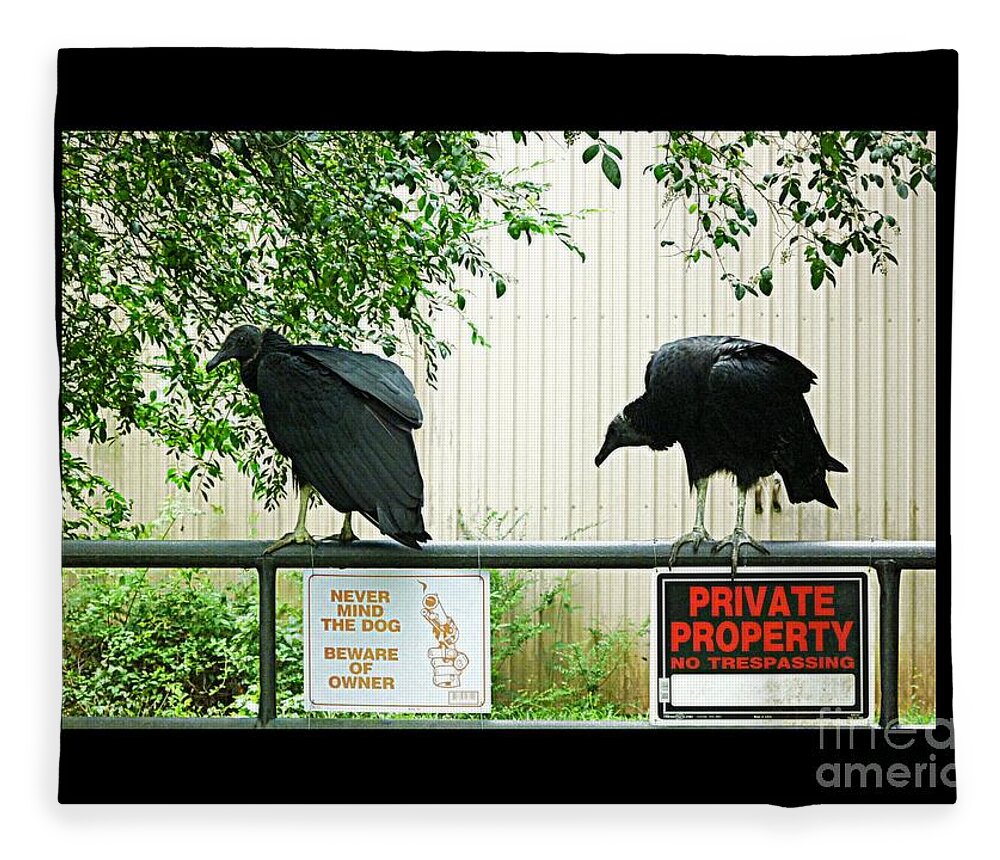 Vulture Fleece Blanket featuring the photograph Vultures Guarding Property by Renee Trenholm