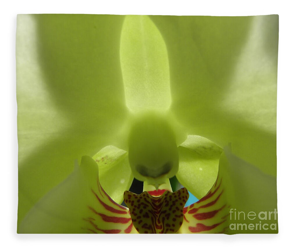 Orchid Fleece Blanket featuring the photograph What Do You See by Kim Galluzzo Wozniak