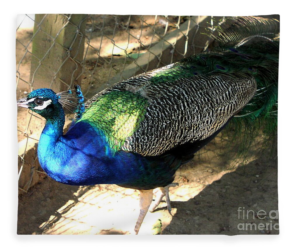 Peacock Fleece Blanket featuring the photograph What's Out There? by Rory Siegel