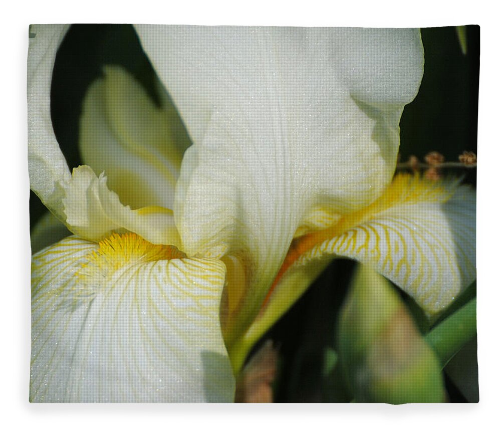 Beautiful Iris Fleece Blanket featuring the photograph White Iris by Jai Johnson