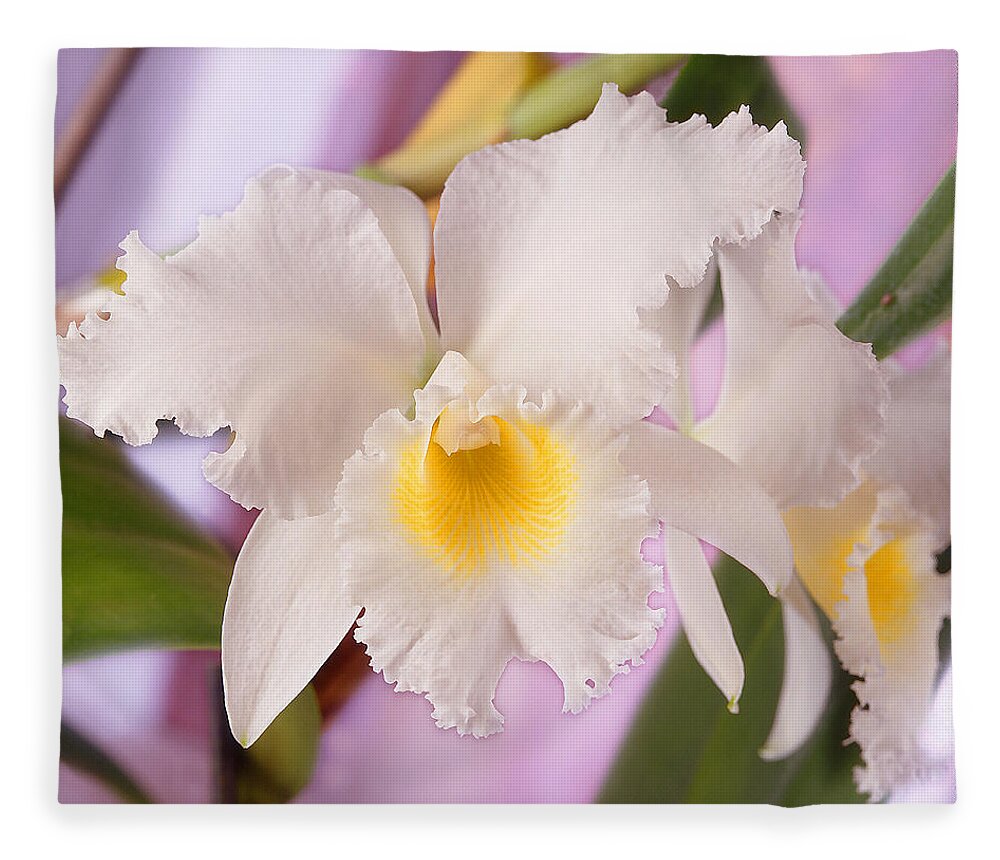 White Flower Fleece Blanket featuring the photograph White Orchid by Mike McGlothlen