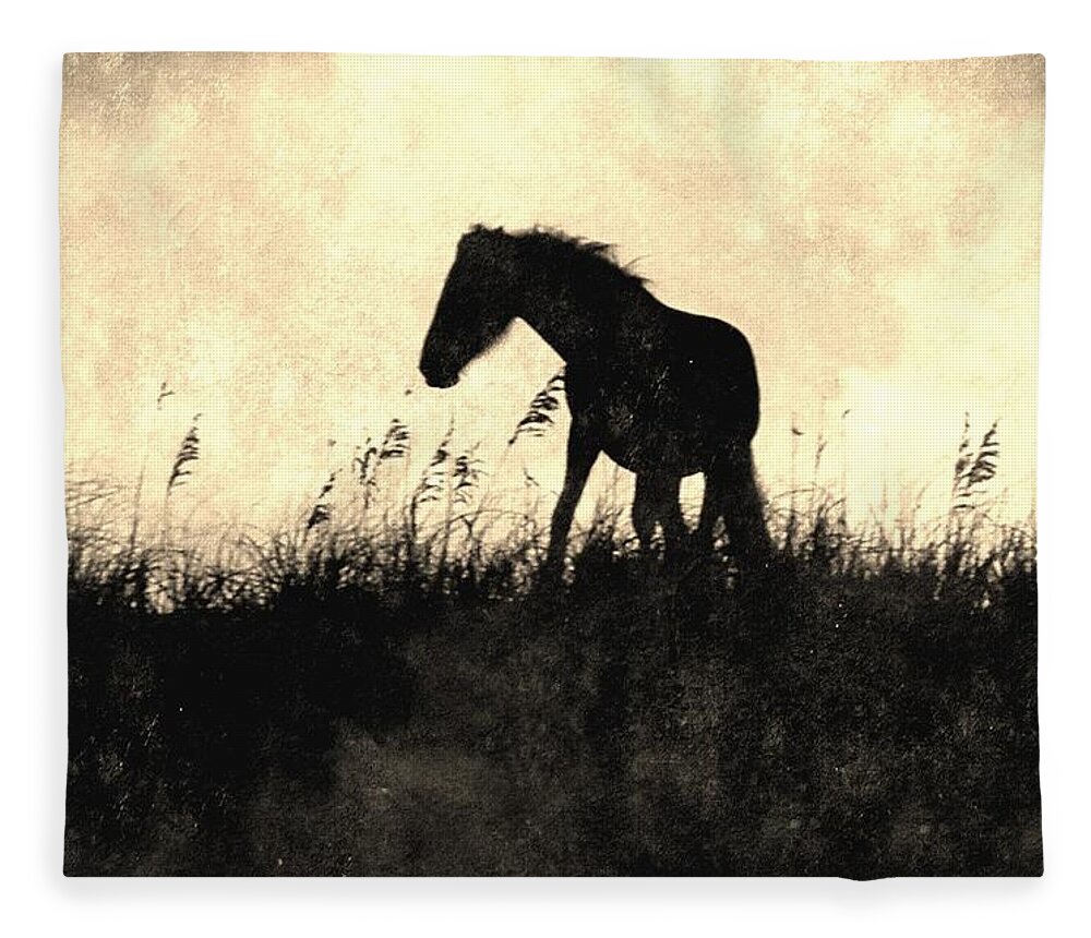 Wild Spanish Mustang Fleece Blanket featuring the photograph Wild and Protected by Kim Galluzzo