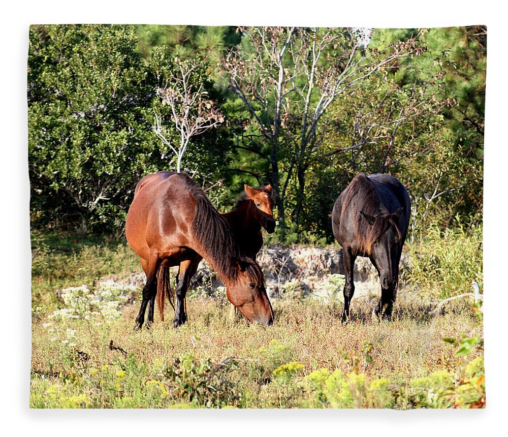 Wild Spanish Mustang Fleece Blanket featuring the photograph Wild Spanish Mustangs Corolla North Carolina by Kim Galluzzo