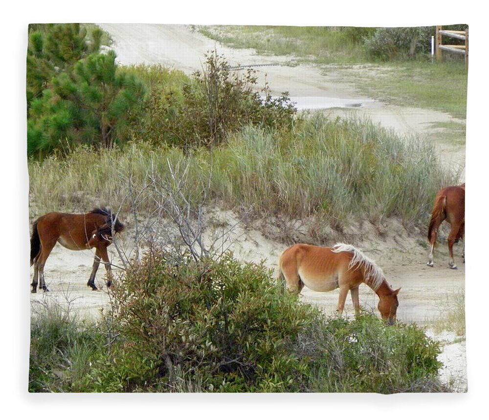 Wild Fleece Blanket featuring the photograph Wild Spanish Mustangs of the Outer Banks of North Carolina by Kim Galluzzo Wozniak