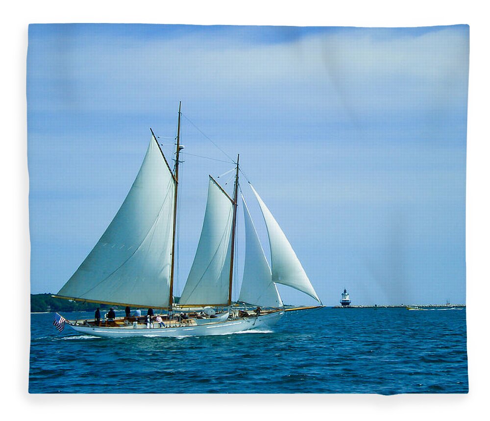 Sailing Fleece Blanket featuring the photograph Wind in the Sails by Al Griffin