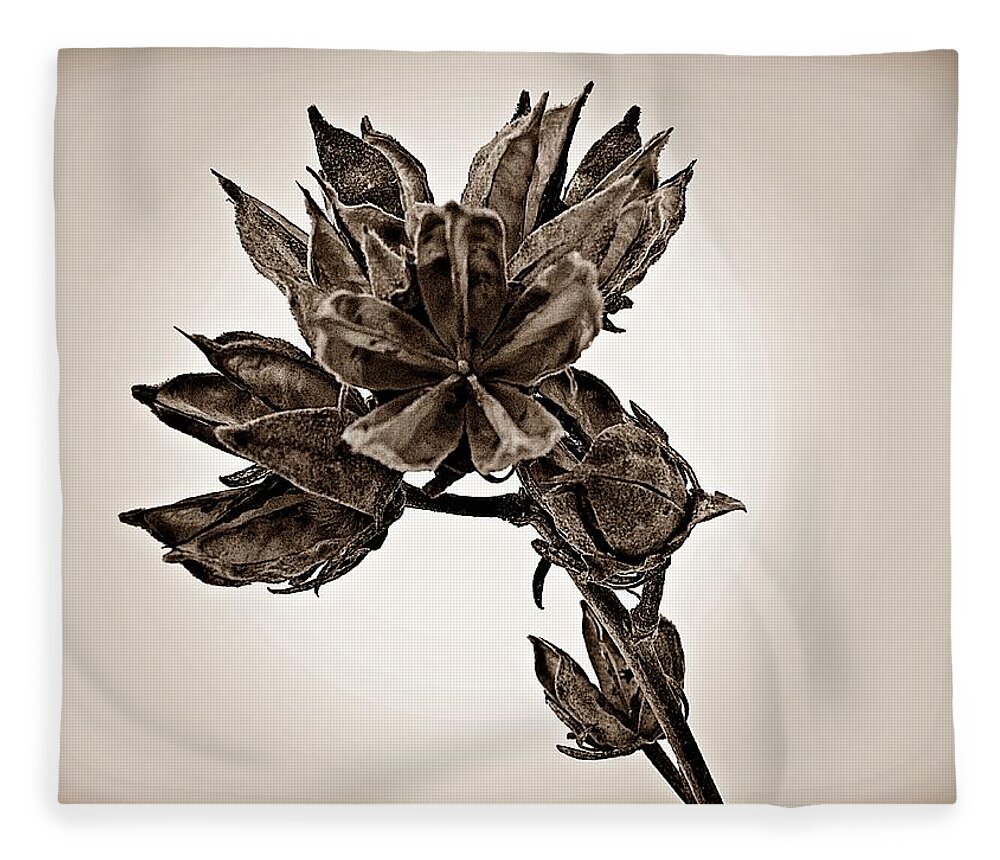 Rose Of Sharon Fleece Blanket featuring the photograph Winter Dormant Rose of Sharon - S by David Dehner