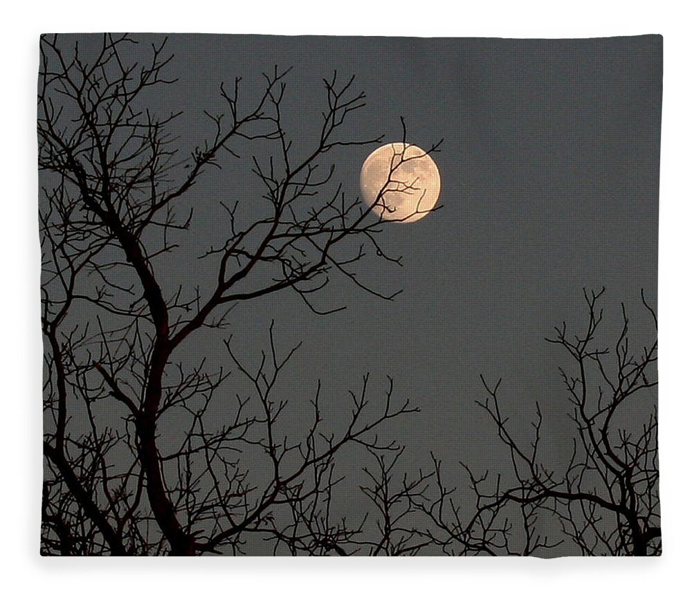 Tree Fleece Blanket featuring the photograph Winter Moon by Karen Harrison Brown