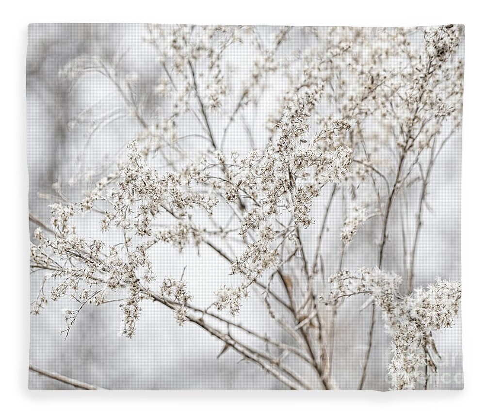 Winter Fleece Blanket featuring the photograph Winter Sight by Traci Cottingham