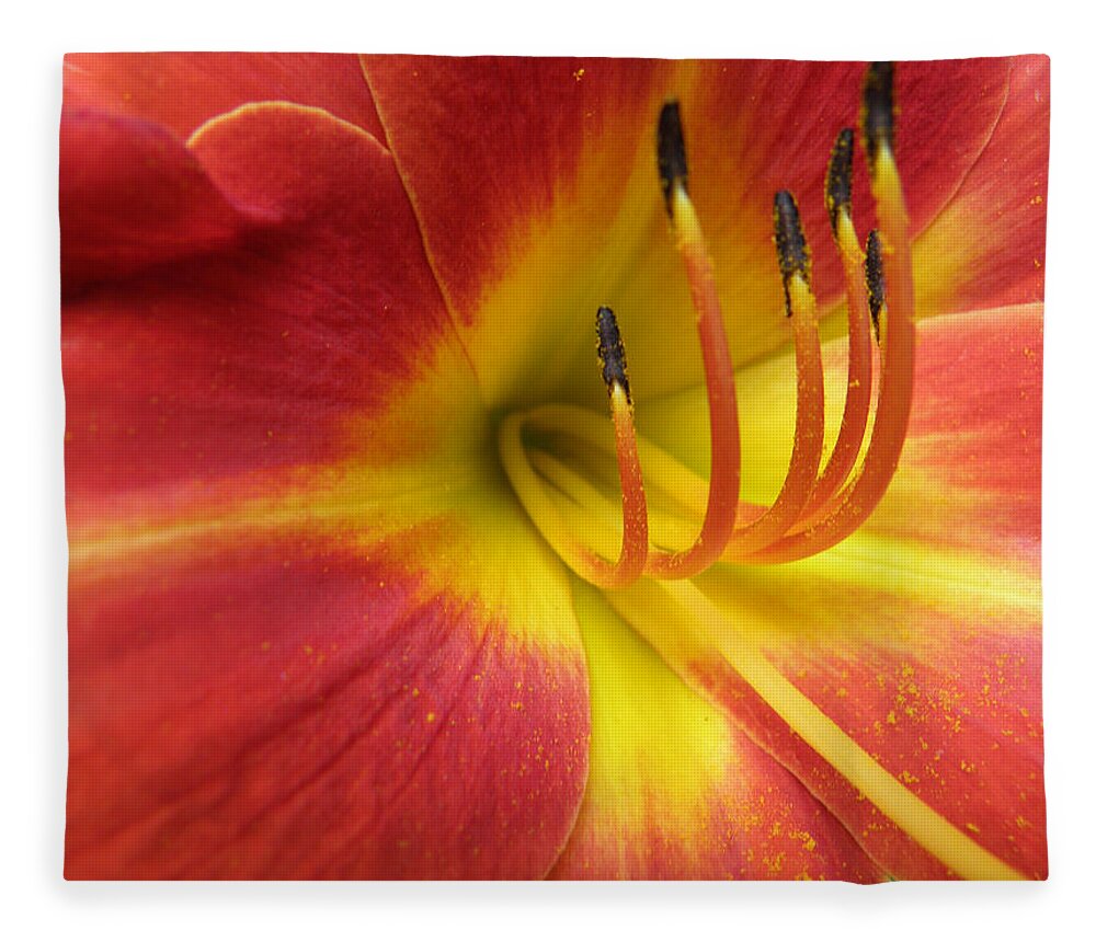 Day Lily Fleece Blanket featuring the photograph With Great Detail by Kim Galluzzo