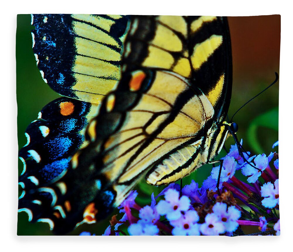 Butterfly Fleece Blanket featuring the photograph Yellow Butterfly by Ed Peterson
