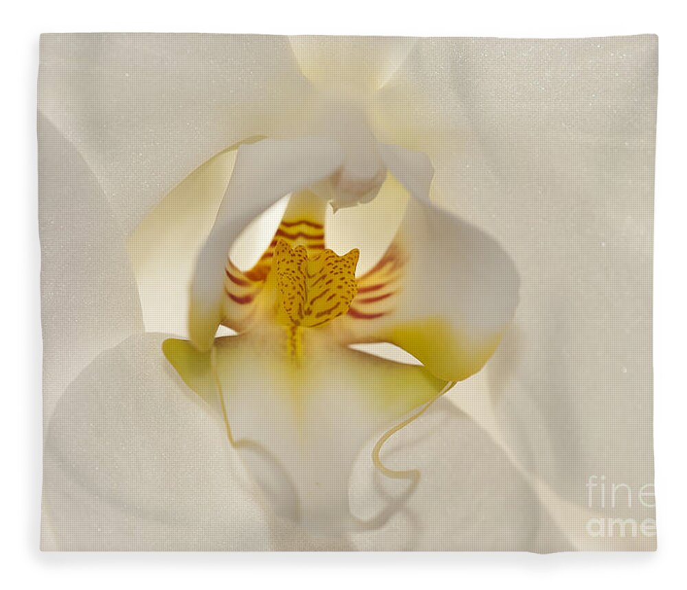 Orchid Fleece Blanket featuring the photograph In the Heart of the Orchid by Sandra Bronstein