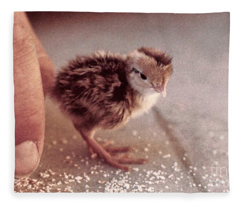 Chicks Fleece Blanket featuring the photograph 02_contact With Nature by Christopher Plummer