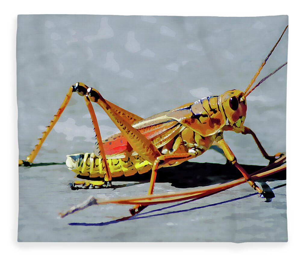 Lubber Grasshopper Fleece Blanket featuring the digital art 15- Lubber Grasshopper by Joseph Keane