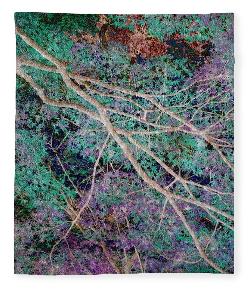 Forest Fleece Blanket featuring the photograph A Forest of Magic #1 by Eena Bo