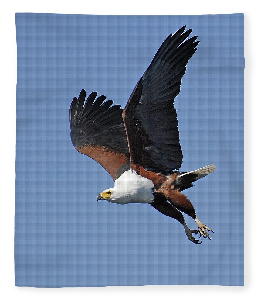 Africa Fleece Blanket featuring the photograph African Fish Eagle by Ted Keller
