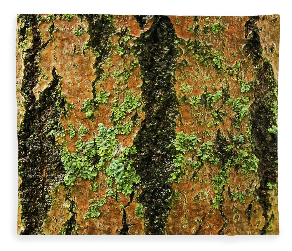 Abstract Fleece Blanket featuring the photograph Aspen Bark After The Rain #1 by Ira Marcus