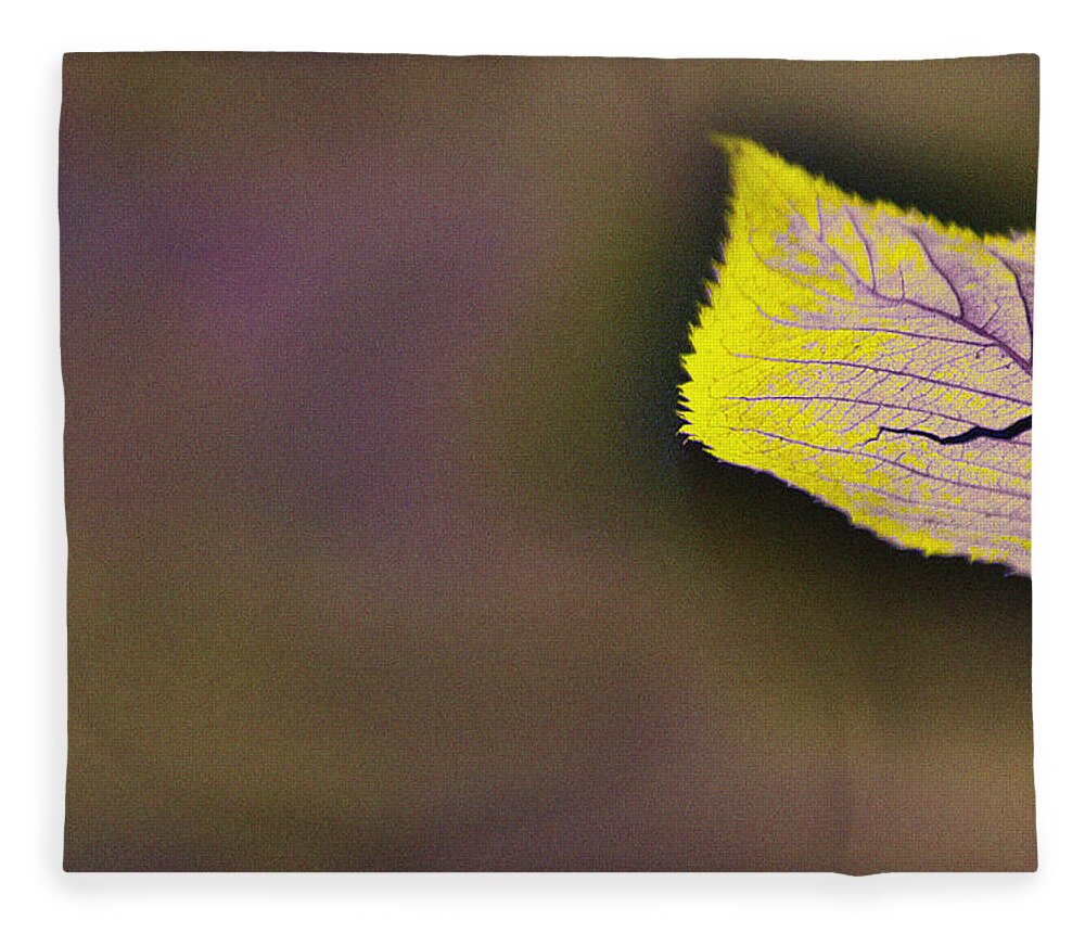 Seasons Fleece Blanket featuring the photograph Autumn Leaf by Eena Bo