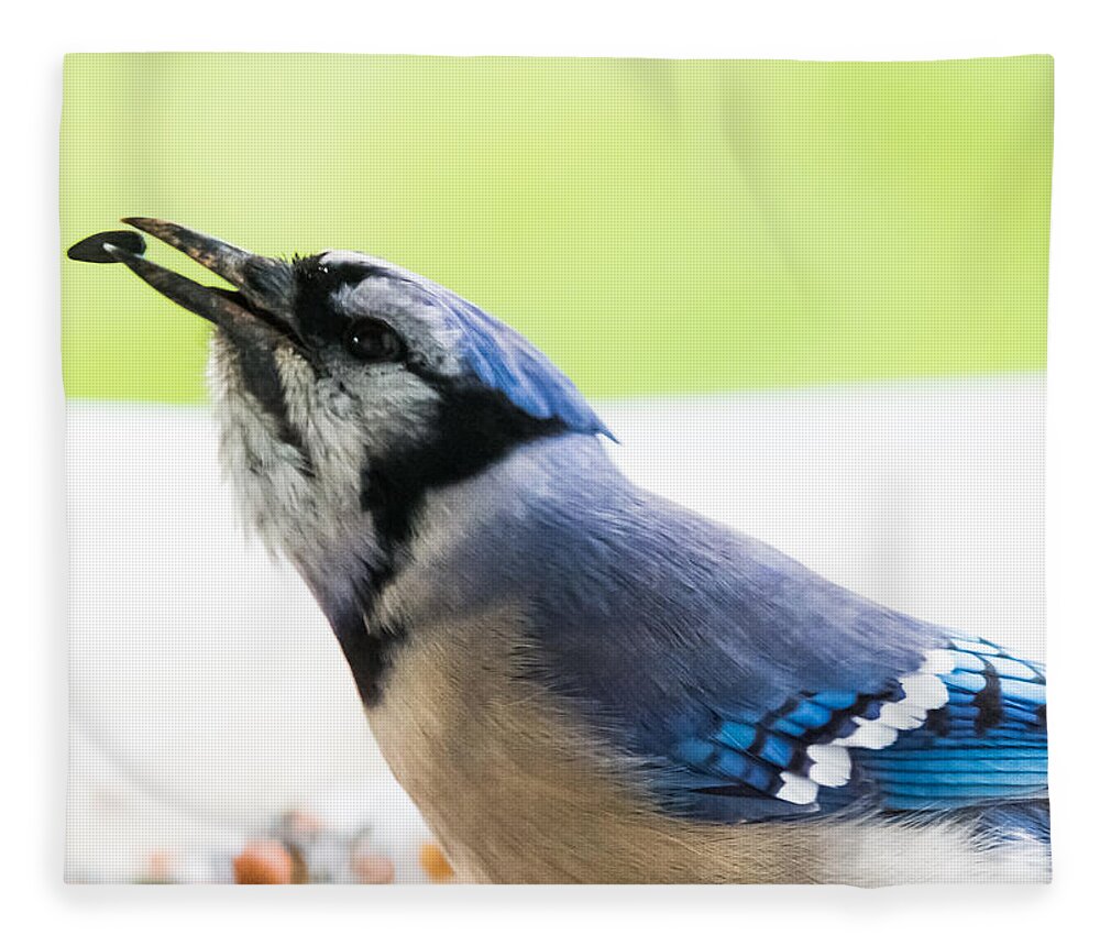 Blue Jay Fleece Blanket featuring the photograph Blue Jay  by Holden The Moment