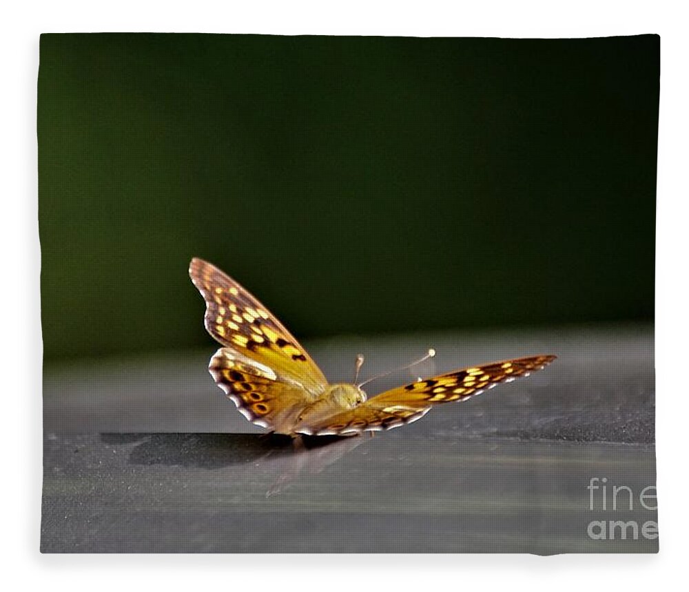Butterflies Fleece Blanket featuring the photograph Butterfly on my car5 by Merle Grenz