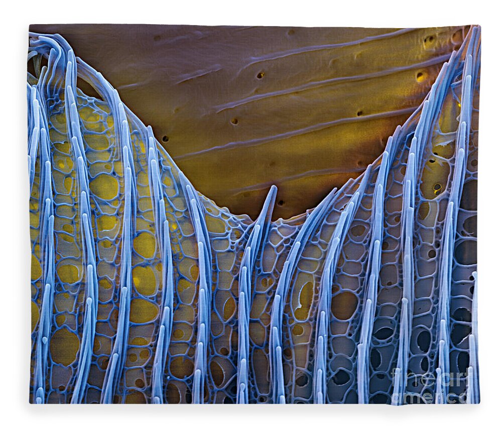 Science Fleece Blanket featuring the photograph Butterfly Wing Scale Sem by Eye of Science