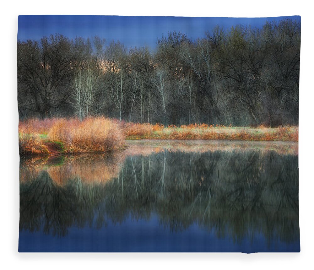 Trees Fleece Blanket featuring the photograph Calm Before the Storm #1 by Darren White
